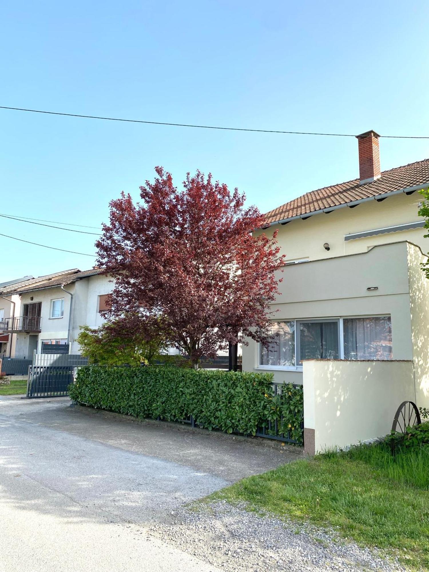 Apartman Lucija Gradici Buitenkant foto